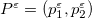 $P^\varepsilon =(p^\varepsilon _1,p^\varepsilon _2)$