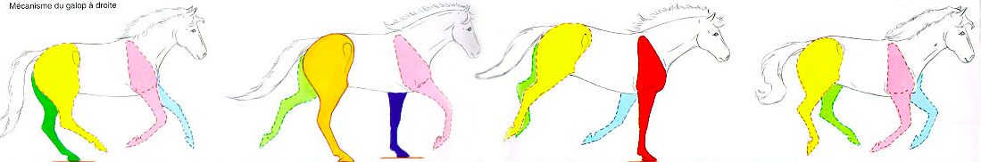 \includegraphics[width=10cm]{aeroimages/galop.png}
